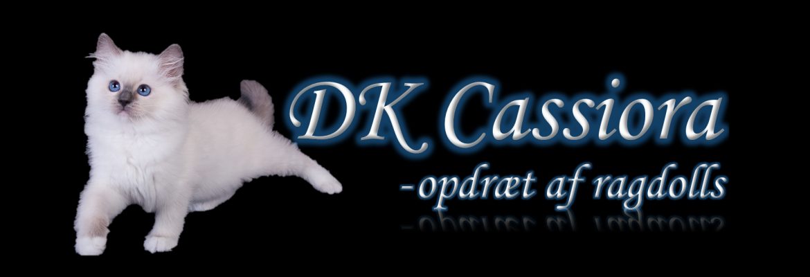 DK Cassiora